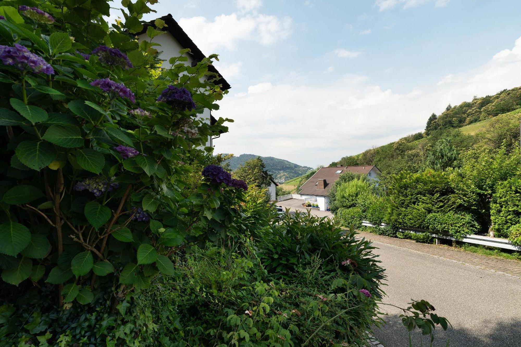 Ferienwohnung Wintereck Buhlertal Exterior photo